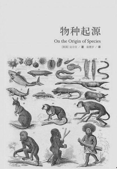 物种起源,揭示生命演化的奥秘之旅