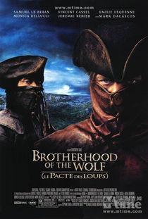 狼族盟约,探寻狼群间的神秘契约与生存智慧