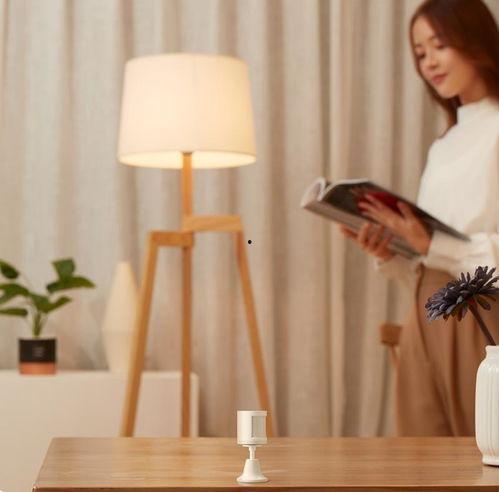 生活伴侣,生活伴侣的温馨篇章