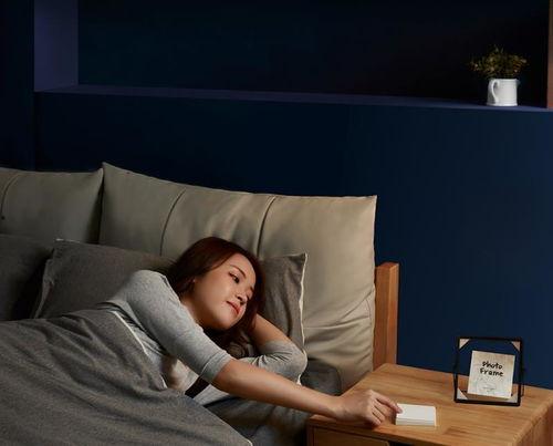 生活伴侣,生活伴侣的温馨篇章