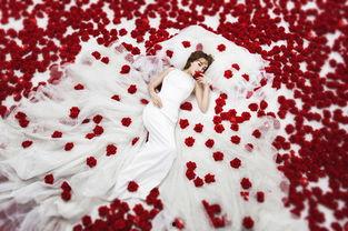 蜜恋物语,甜蜜校园恋曲的浪漫演绎